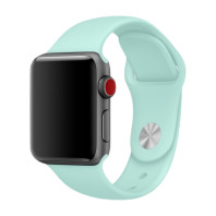 Ремешок для Apple watch 42/44/45mm Sport Band S/M Marine green
